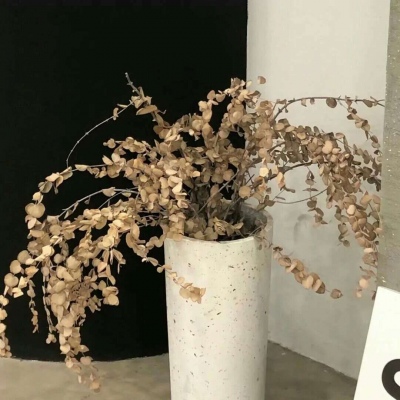 Furry数位板绘画教程FurryQQ群